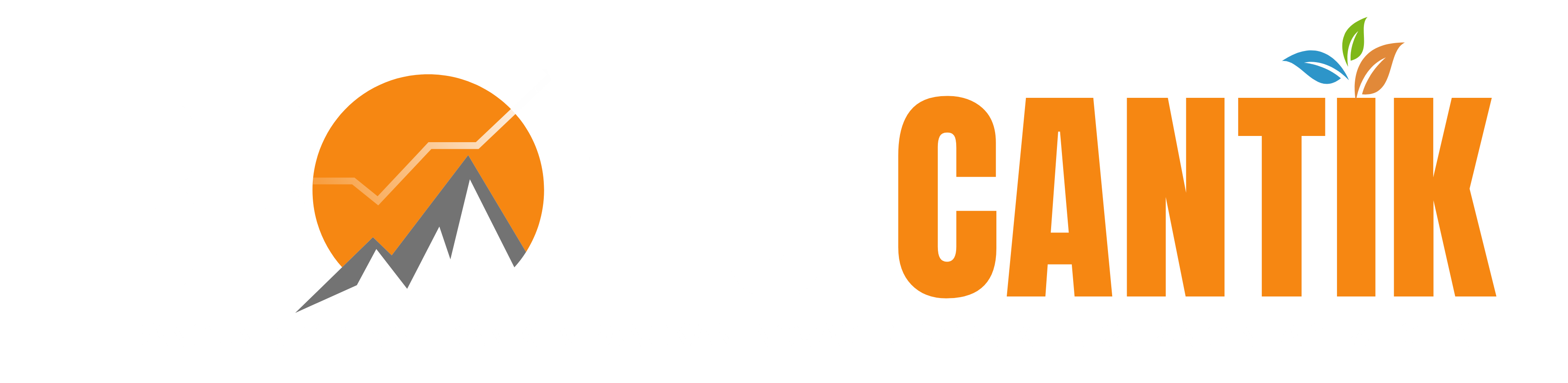 Logo BROMO CANTIK
